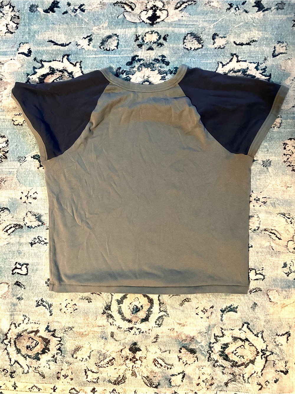 Madewell light blue with Navy Raglan Sleeves